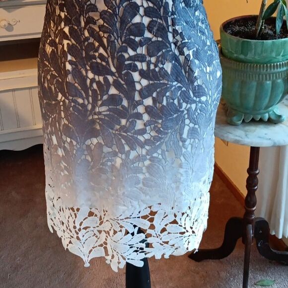 Fashion Nova Lace Ombre Cut-Out Mini Dress. Cocktails, Evening,  Fairycore - Picture 6 of 14